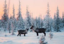 認識自己——九型人格8號