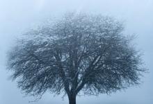 8號人格的九個發展層次