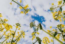 8號領袖型成長留意之處