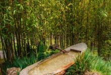 八號在工作中的優勢