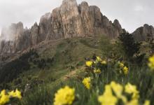 如何與第八類型共事2009-11-20 07:29:13