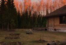 八號的工作形態和學習方式