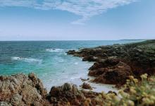 八號在工作中的基本特征