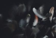 九型人格八號眾生相