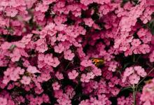 8號性格是如何形成的？