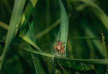 職場戀愛之七號活躍型的信號