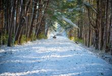 職場戀愛之七號活躍型作為員工