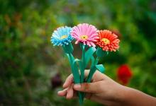 職場戀愛之七號活躍型在團隊中