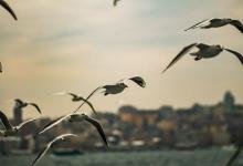 職場戀愛之七號活躍型在工作中