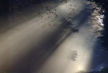 職場戀愛之七號活躍型性格傾向