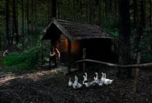 職場戀愛之七號活躍型的選擇