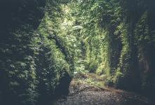 七號活躍型獨特的溝通方式