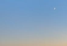 七號活躍型與九號和平型相處