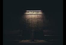 七號活躍型的深度與廣度