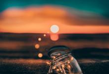 七號享樂者的壓力與憤怒