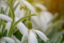 七號享樂者的個人發展