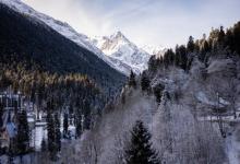 七號活躍型的自我情緒管理