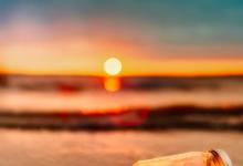 與七號享樂主義者的相處技巧