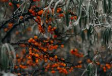 快樂導(dǎo)向多樣人生-快樂型（下）