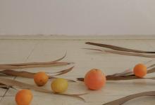 七號(hào)的性格優(yōu)勢(shì)