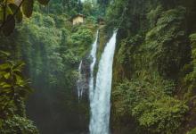 如何快速準(zhǔn)確的鑒定7號性格