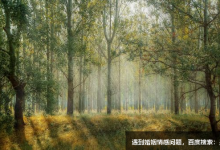 活躍型性格成長策略