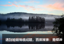 《九型人格》文中對(duì)七號(hào)享樂(lè)主義者的描述