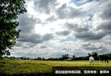 九型人格之7號活躍型人的性格傾向