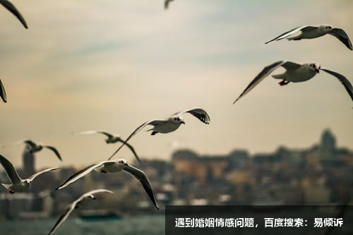 五號(hào)觀察者的高度表現(xiàn)點(diǎn)