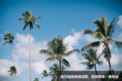 五號(hào)觀察者的練習(xí)反思