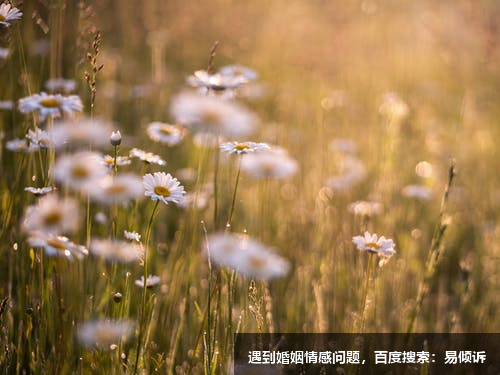 五號(hào)觀察者的個(gè)人發(fā)展