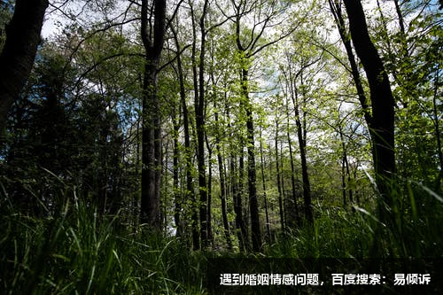 與五號觀察者的相處技巧