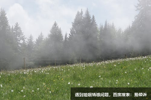 5號理智型獨處的樂趣