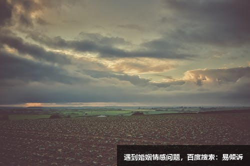 九型人格中五號精彩案例分享