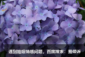 九型人格之與5號理智型人的相處之道