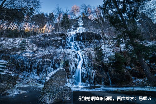 九型人格之5號理智型人的性格傾向