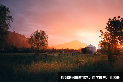 第五類型--理性的火力