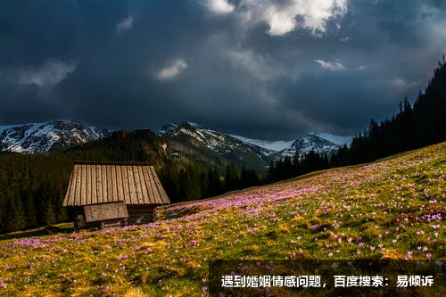 第五類型非常在意疆域的界線