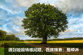 四號自我型與七號活躍型相處