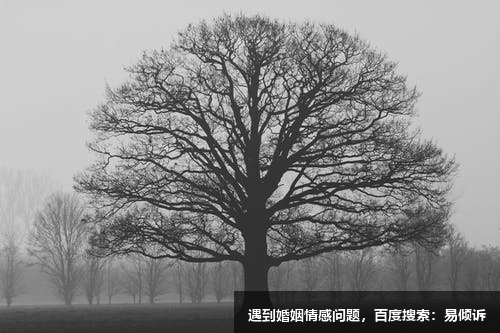 四號自我型概述（下）