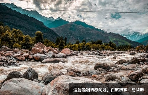 四號浪漫主義者的基本描述