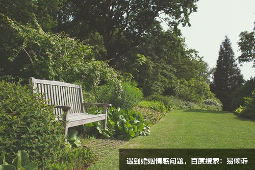 九型人格--四號自我型高度表現點完美型