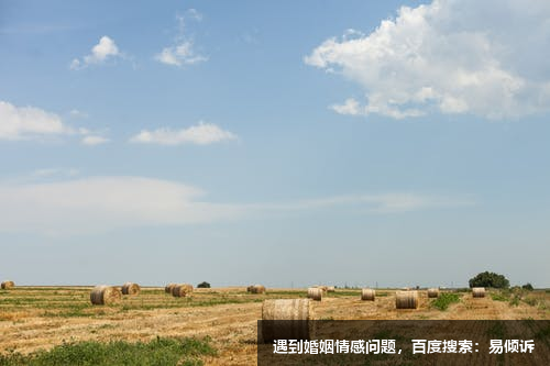 九型人格四號自我型--典型案例