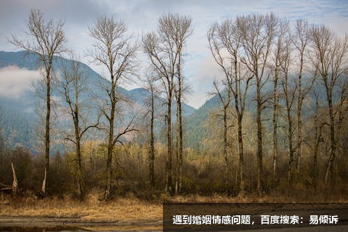 九型人格之四號