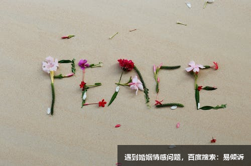 四號藝術型性格人的核心需求