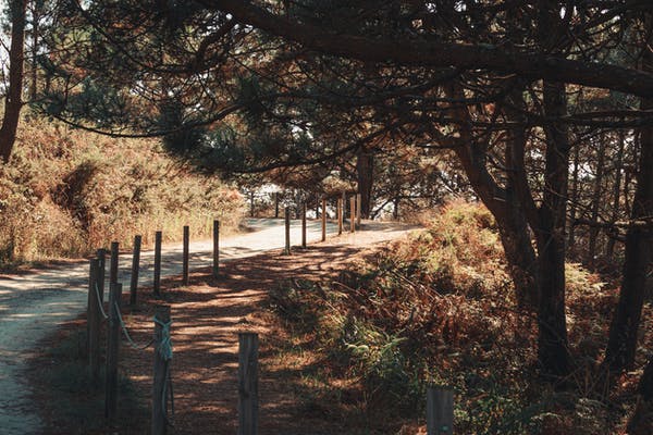 九型一號完美型人典型案例自述