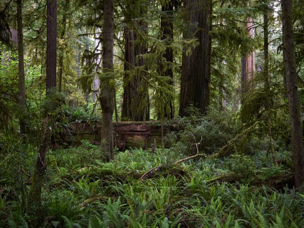 一號完美型性格人的核心需求