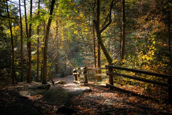 九型人格---一號完美型性格人的身形特點