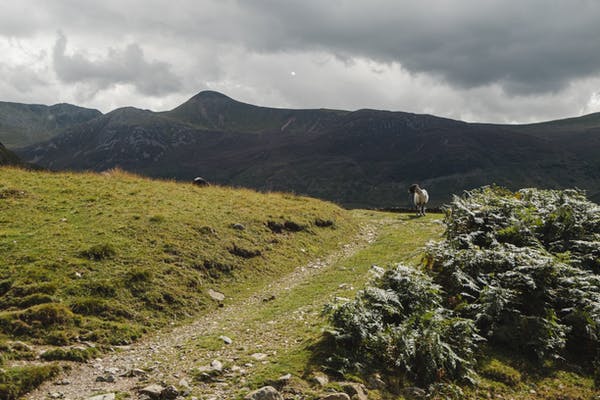 九型人格中一號人絕對不會做的事情