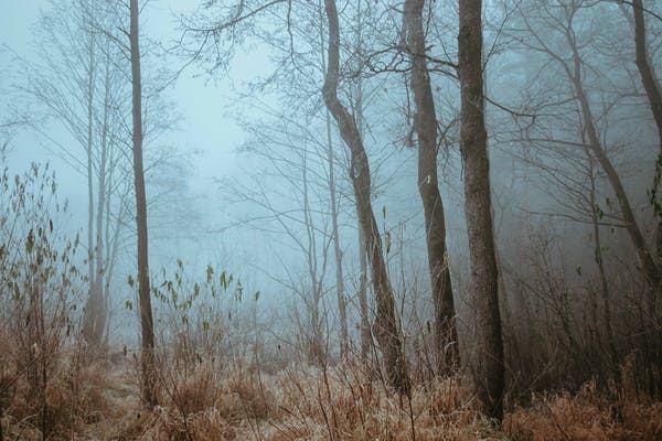 一號完美型人進入輕松狀態的表現